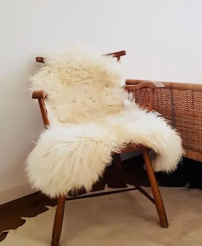 アパート Design Prenzlauer Berg *